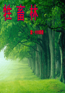 《牲畜林》完整版优质课件