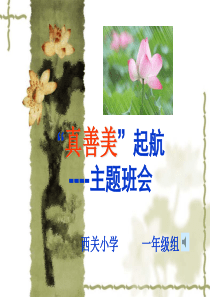 真善美小学生德育教育主题班会材料