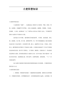小麦科普知识
