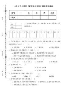 管理信息系统试题样例(1)