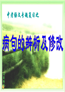 2017中考病句专题(精)