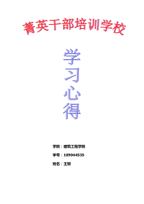 菁英干部培训学习总结