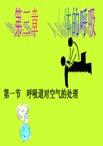 第三章第一节呼吸道对空气的处理
