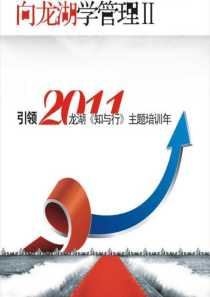 龙拷贝湖精装修实操经验汇集(很好)P274