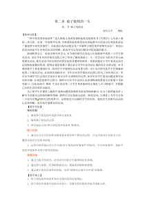 第二章被子植物的一生(教案)