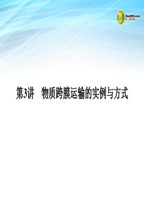 1-2-3物质跨膜运输的实例与方式课件