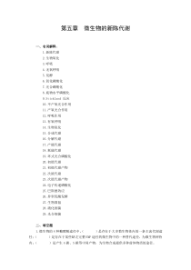 第五章  微生物的新陈代谢