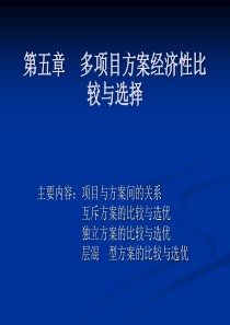 第五章多项目方案经济性比较和选优