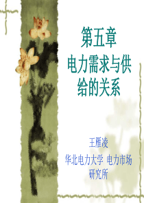 第五章电力需求与供给的关系