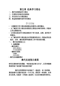第五章经典学习理论