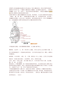 第八讲从中医角度来认识脏腑