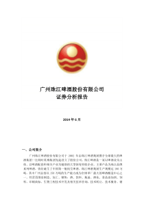 珠江啤酒证券投资分析报告