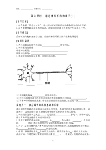 第3课时通过神经系统的调节