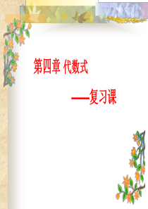 代数式复习课ppt