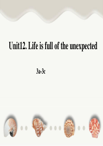 2014年九年级英语Unit12.-Life-is-full-of-the-unexpected.-
