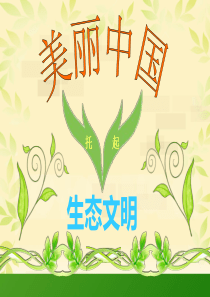 生态文明--美丽中国