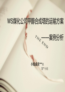 WS煤化公司甲醇合成塔的运输方案分析