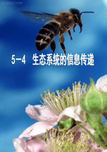 生态系统的信息传递cx