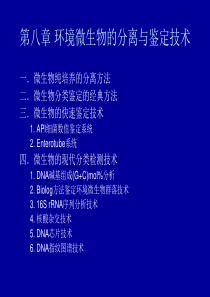 第8章环境微生物的分离与鉴定技术