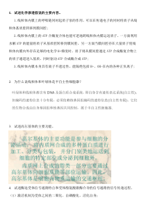 试述化学渗透假说的主要内容