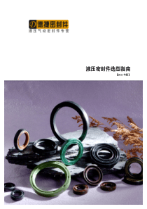 德捷密封件--液压密封件选型指南(2011年版)
