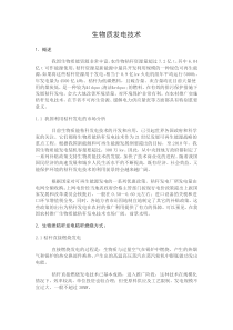 生物质发电技术