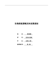 生物质能源的利用和发展文献综述