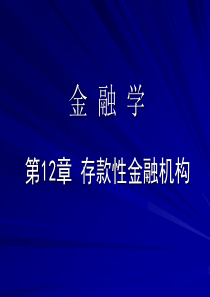 12章存款类金融机构