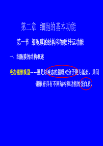 生理学细胞的基本功能.