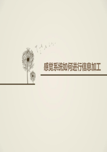 生理心理学换能装置.