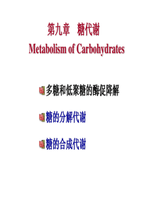生科第八章糖代谢.