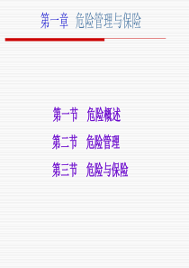 1危险管理与保险