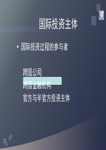 4跨国金融机构
