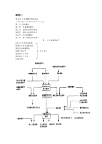 第七章分子生物学研究方法(课件11)