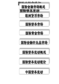 5第5章国际金融市场及资本流动