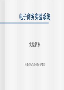 电子商务实验模拟课件.