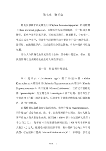 第七章鞭毛虫
