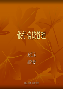 816-银行信贷管理