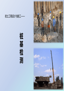 滑坡防治工程桩基工程质量检测