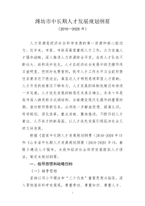 潍坊市中长期人才发展规划纲要