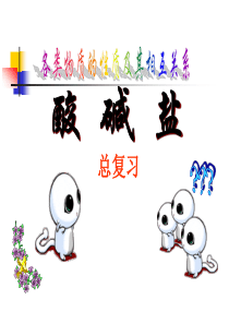 初中化学酸碱盐总复习.