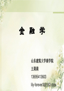 CHAPTER 1-金融学