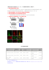 热点实验WB,IH,IF,ICC实验