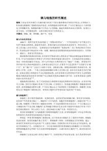 熵与细胞的研究概述