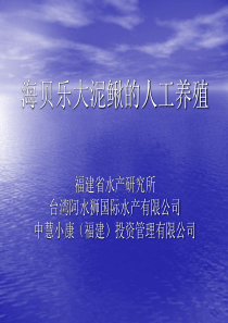 特大泥鳅养殖技术
