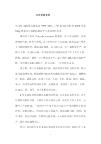 玉米草除草剂