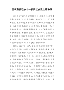 王斌在县政协十一届四次会议上的讲话(滨海县)