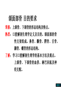 王美青口腔解剖学-颌面部骨