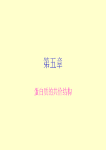 王镜岩-生物化学I-第5章蛋白质的共价结构—第6章蛋白质结构与功能的关系.