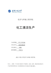 环工中美张盼1301190124